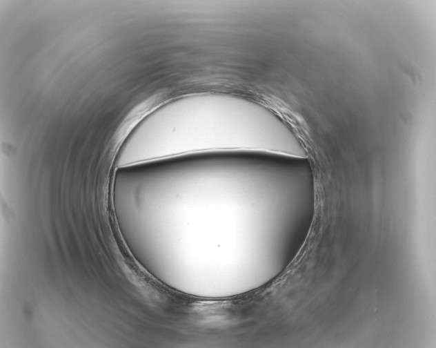 X0000091360051200708101102