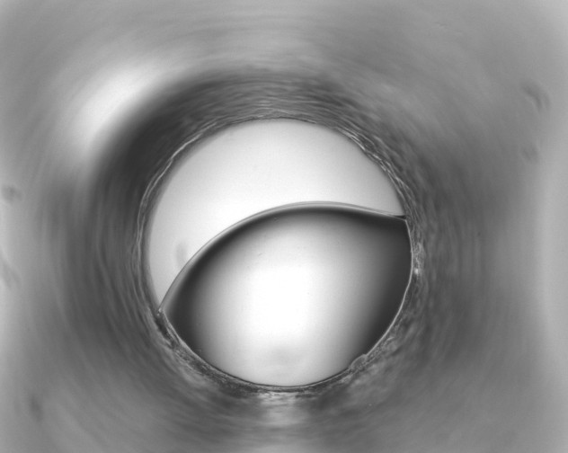 X0000091360052200708101102