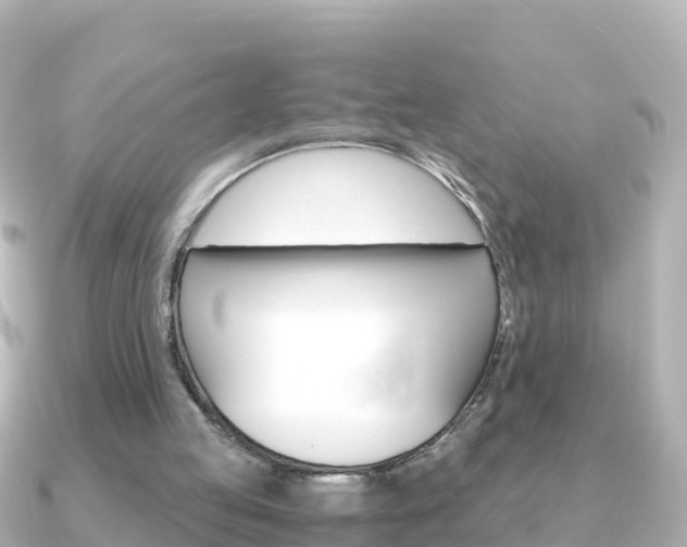 X0000091360053200708101102