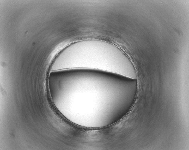 X0000091360054200708101102