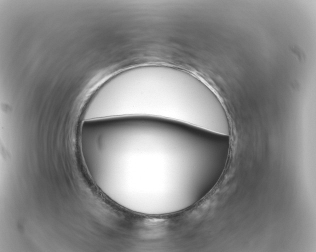 X0000091360055200708101102