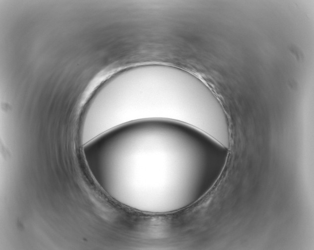X0000091360056200708101102