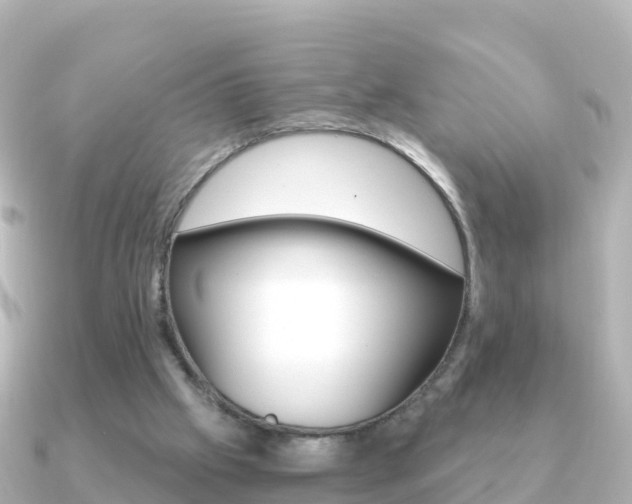 X0000091360057200708101102