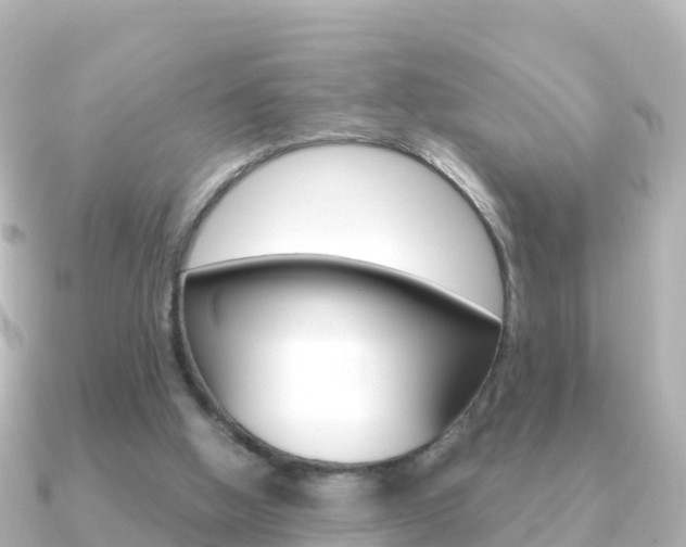 X0000091360058200708101102