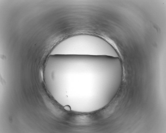 X0000091360061200708101102