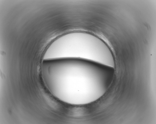 X0000091360063200708101102
