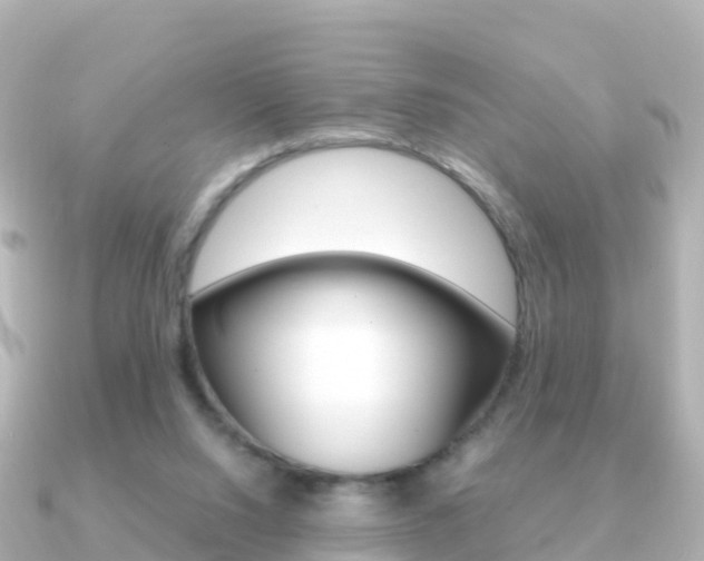 X0000091360064200708101102