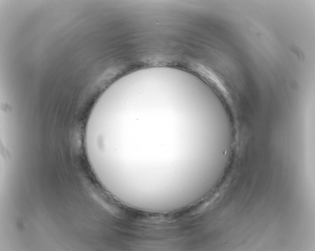 X0000091360065200708101102