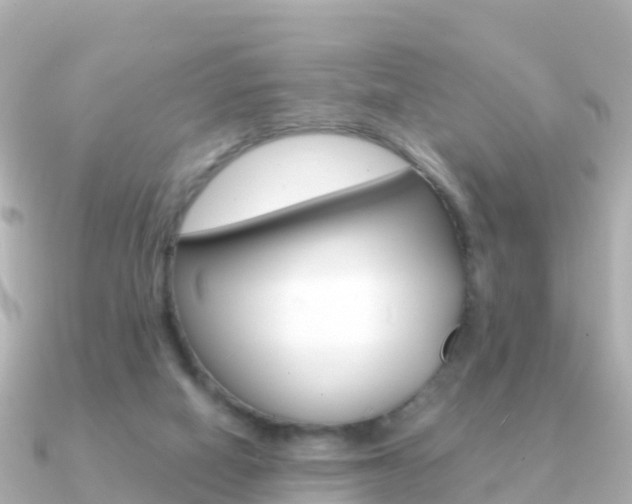X0000091360066200708101102
