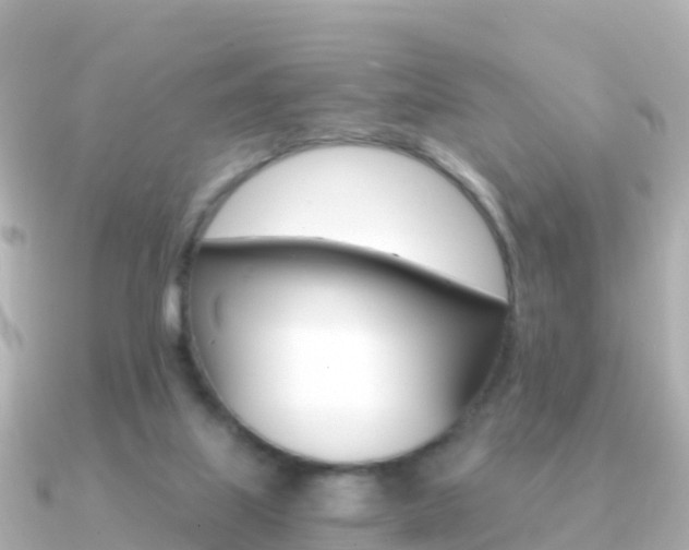 X0000091360067200708101102