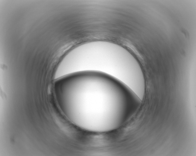 X0000091360068200708101102