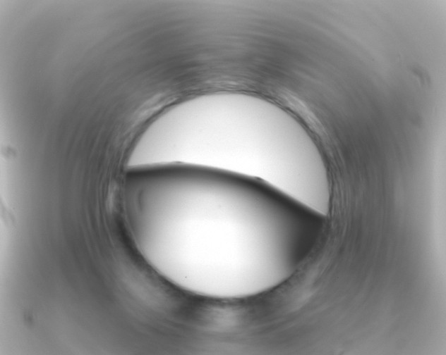 X0000091360071200708101102