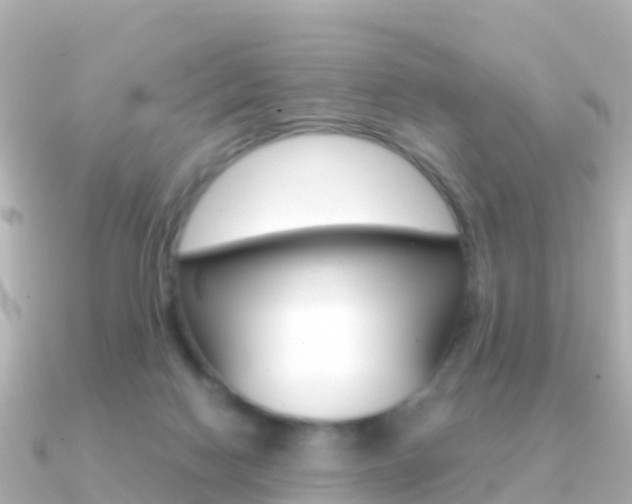X0000091360074200708101102