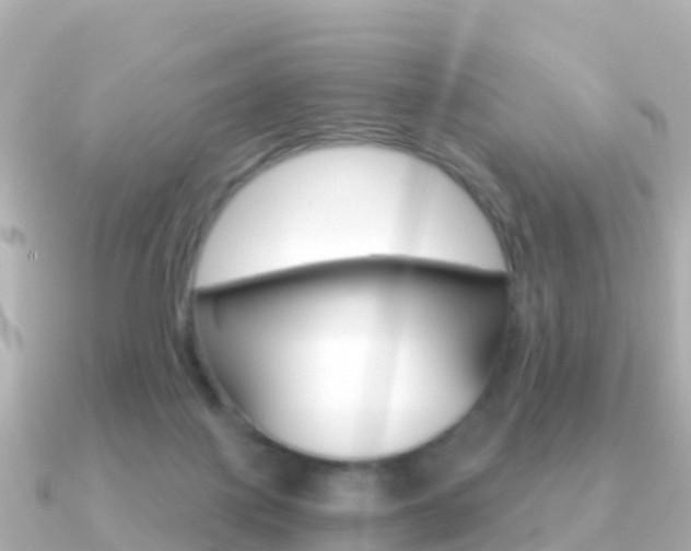 X0000091360075200708101102
