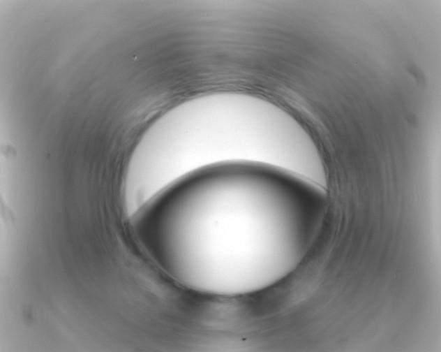 X0000091360076200708101102