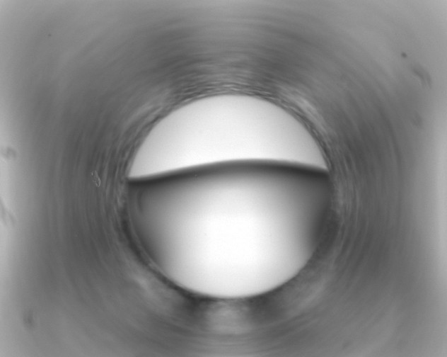 X0000091360077200708101102
