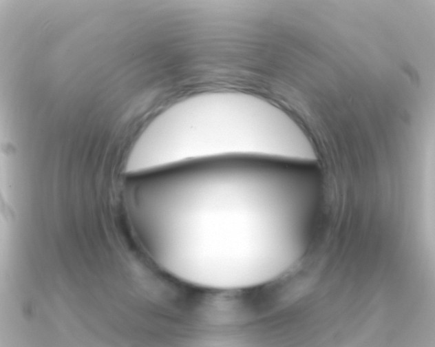 X0000091360078200708101102