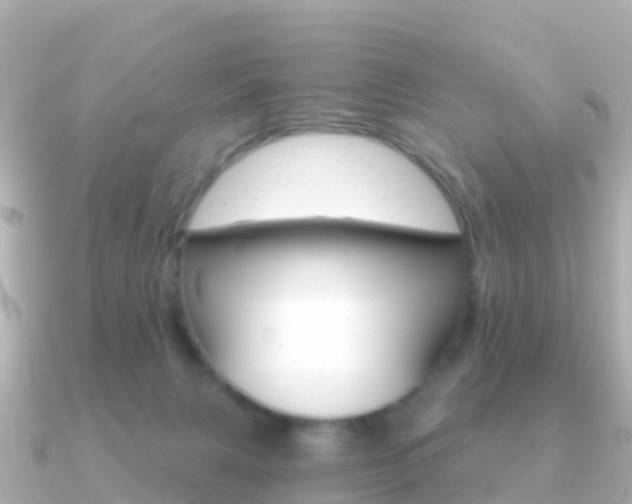 X0000091360079200708101102