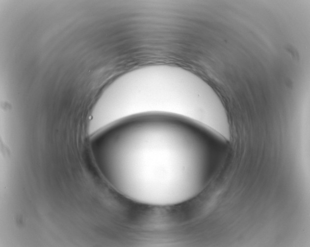 X0000091360080200708101102