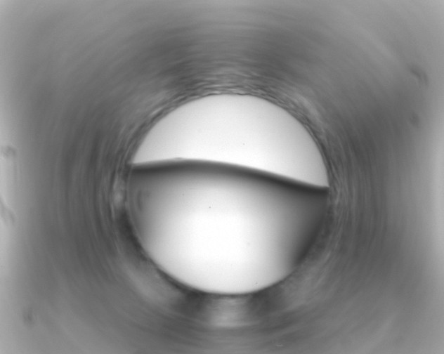 X0000091360081200708101102