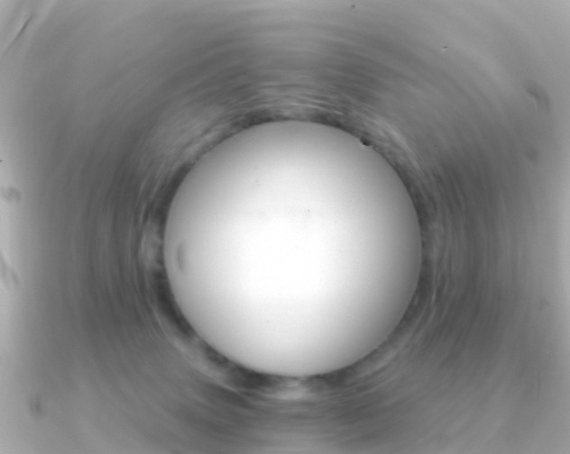 X0000091360083200708101102
