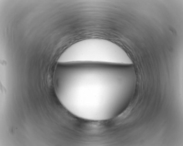 X0000091360086200708101102