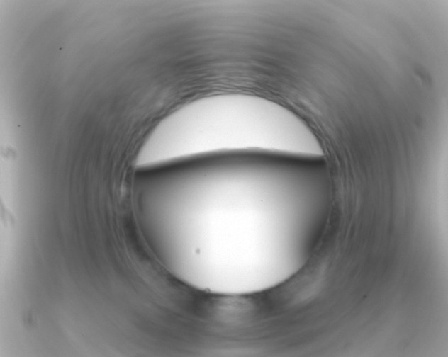 X0000091360087200708101102