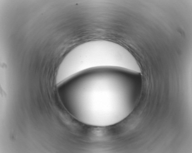 X0000091360088200708101102
