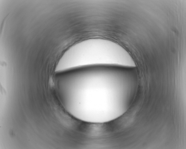 X0000091360089200708101102