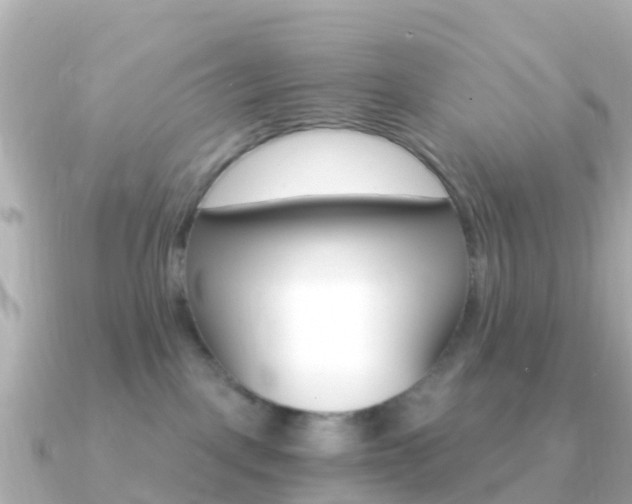 X0000091360093200708101102