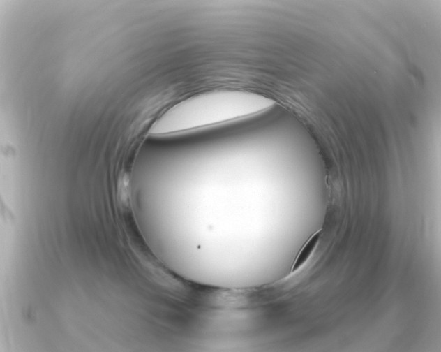X0000091360094200708101102