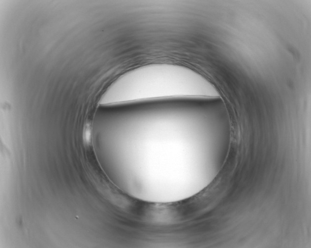 X0000091360095200708101102