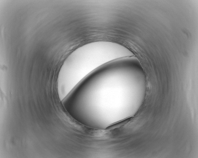 X0000091360096200708101102