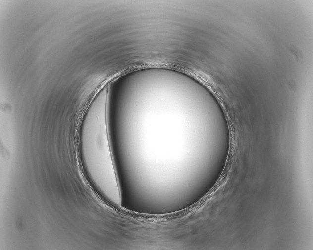 X0000091360097200708101102