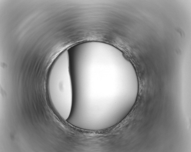 X0000091360098200708101102