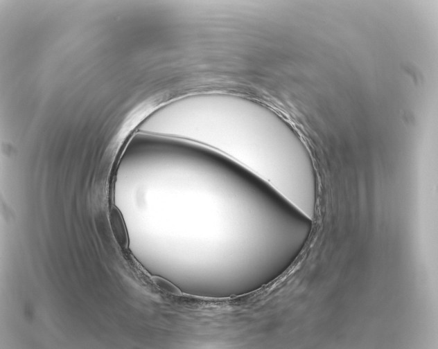 X0000091360099200708101102