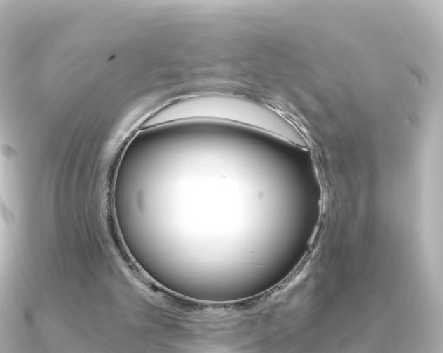 X0000091360101200708101102