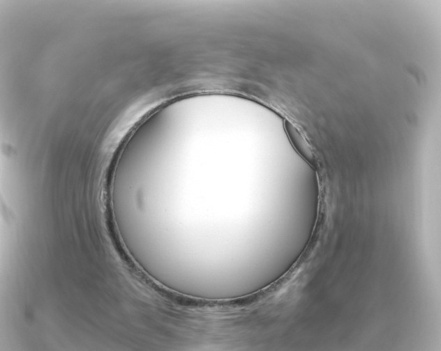 X0000091360103200708101102