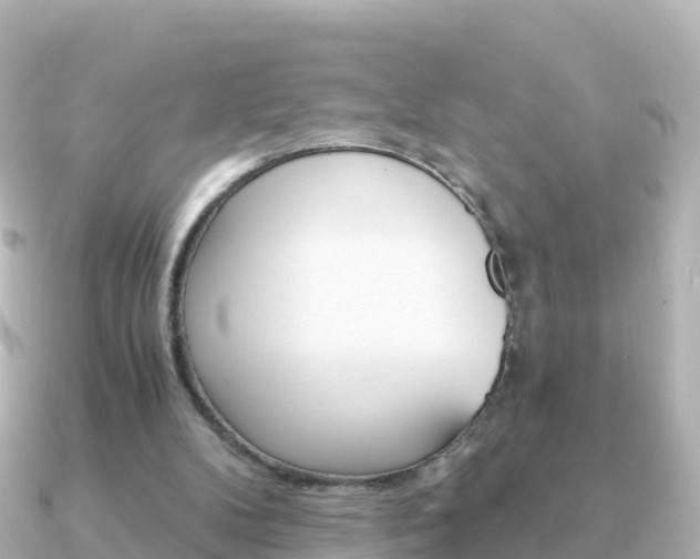 X0000091360104200708101102