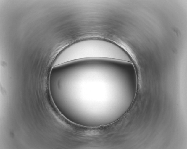 X0000091360105200708101102