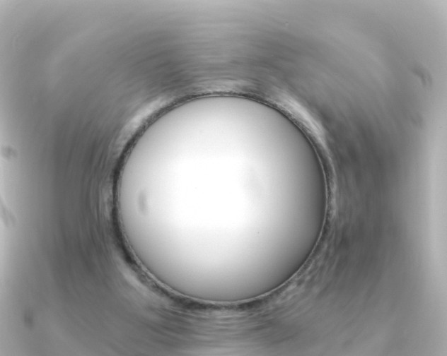 X0000091360107200708101102