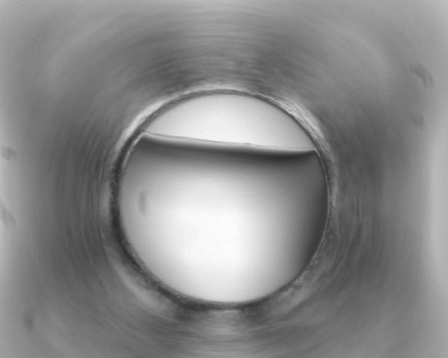 X0000091360108200708101101