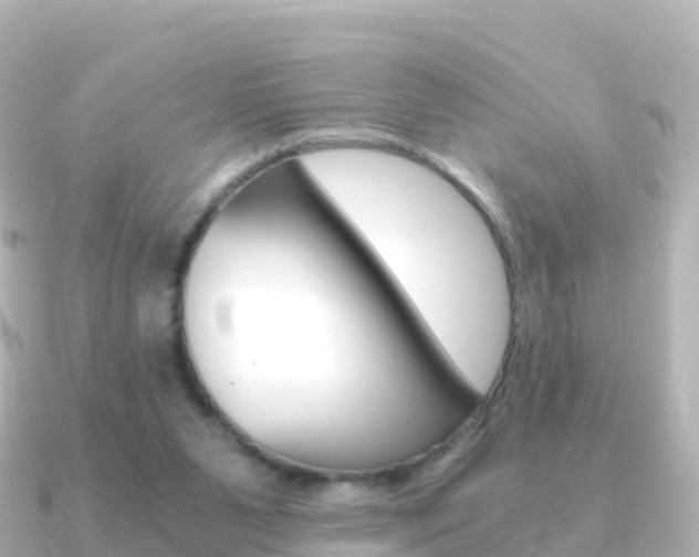 X0000091360111200708101101