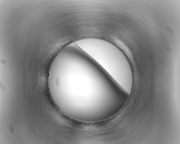 X0000091360113200708101101