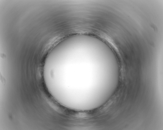 X0000091360114200708101101