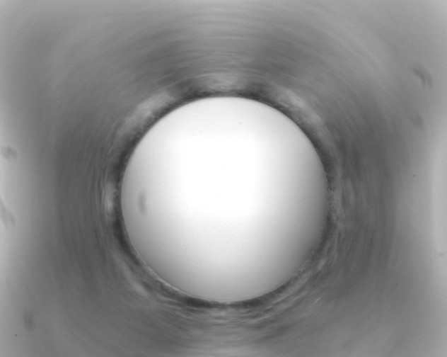 X0000091360115200708101101