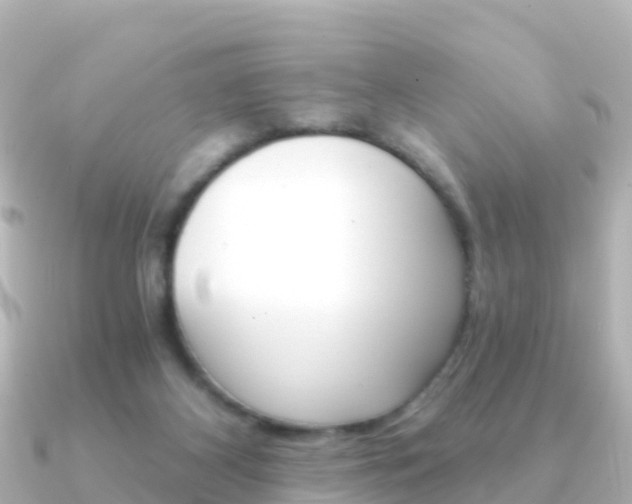 X0000091360116200708101101
