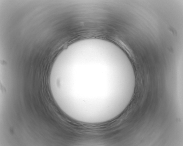 X0000091360117200708101101