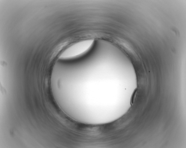 X0000091360120200708101101