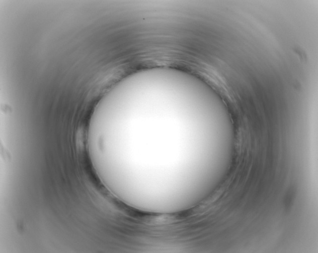 X0000091360122200708101101